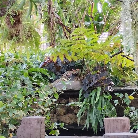 Sareeviengping Hotel Chiangmai 치앙마이 외부 사진