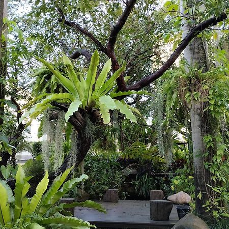 Sareeviengping Hotel Chiangmai 치앙마이 외부 사진