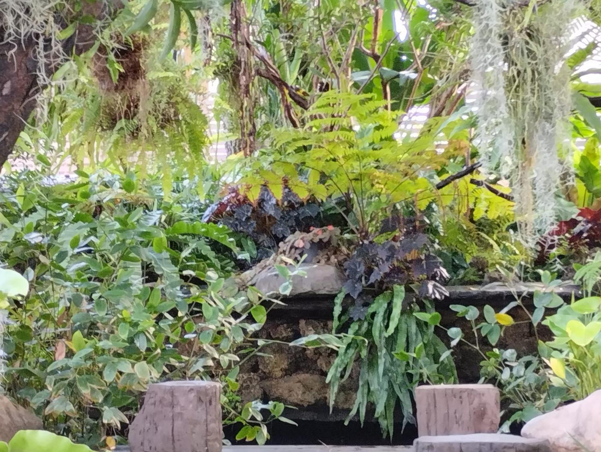 Sareeviengping Hotel Chiangmai 치앙마이 외부 사진