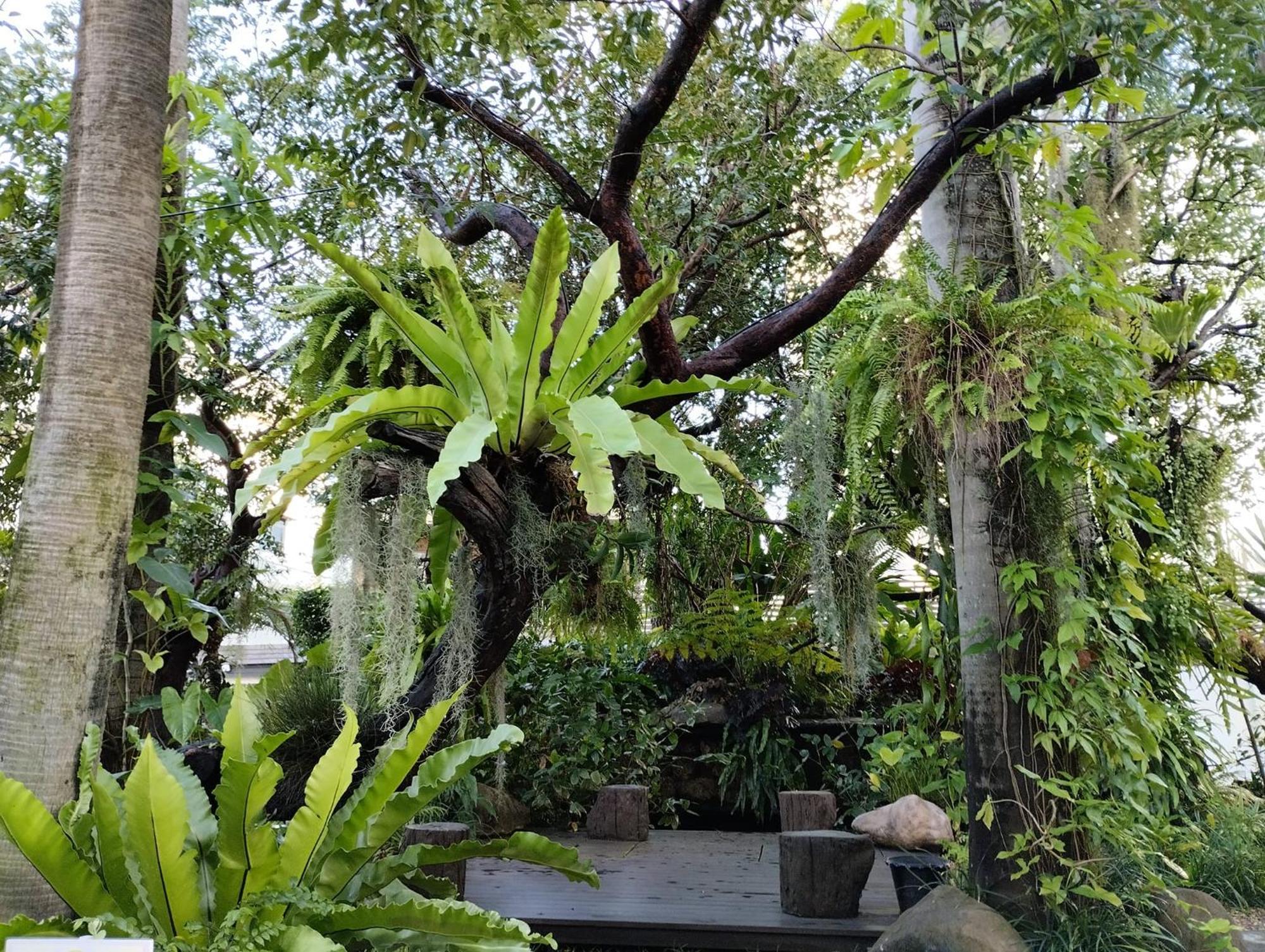 Sareeviengping Hotel Chiangmai 치앙마이 외부 사진